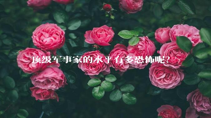顶级军事家的水平有多恐怖呢？