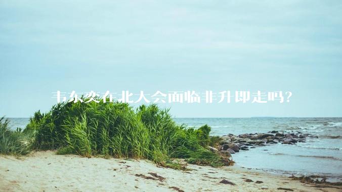 韦东奕在北大会面临非升即走吗？